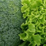 Aerial view of broccoli and lettuce leafy greens that will strengthen your teeth and gums