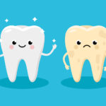 Vector illustration of two teeth, one yellow tooth before teeth whitening and one smiling white tooth after teeth whitening.